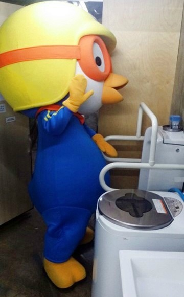 화장실까지 쫓아오는 파파라치