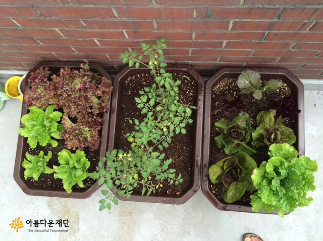 KakaoTalk_20160614_114819459