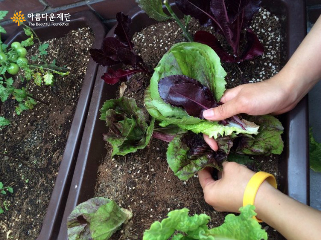 KakaoTalk_20160614_114831190
