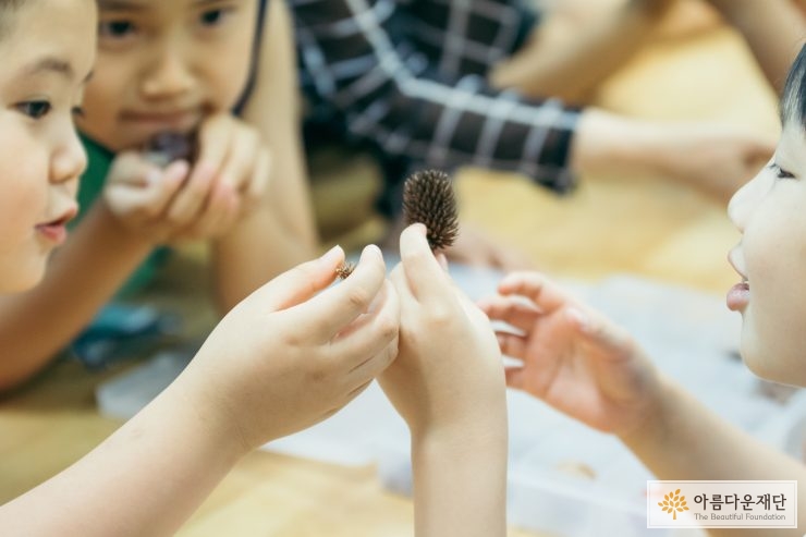 솔방울 관찰하는 아이들
