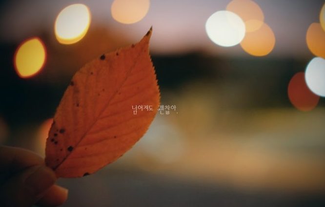 선배로써 후배에게 전하고 싶은 말, 넘어져도 괜찮아.