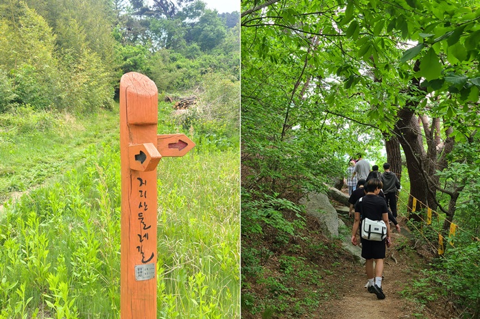 <지리산 ‘For Rest’ 힐링캠프>