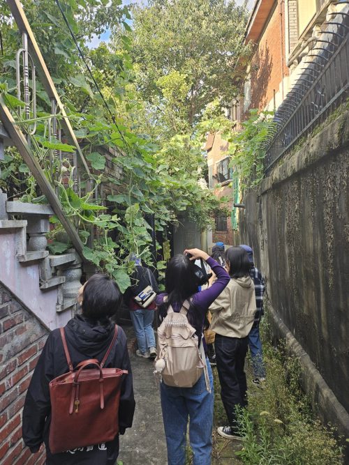 여러 명의 사람들이 좁은 골목에서 무성히 피어난 나무들 사진을 찍고 있는 뒷모습 