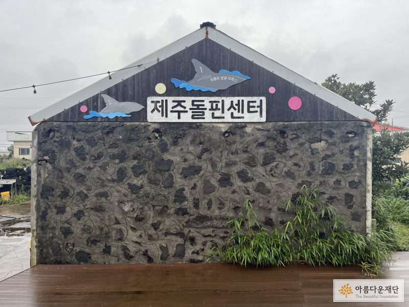 핫핑크돌핀스 사무실 앞에 위치한 제주돌핀센터