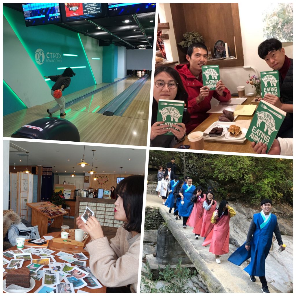 청년 소모임 진행 모습. 총 5개의 소모임이 진행되었습니다. (출처 : 안동청년공감네트워크)