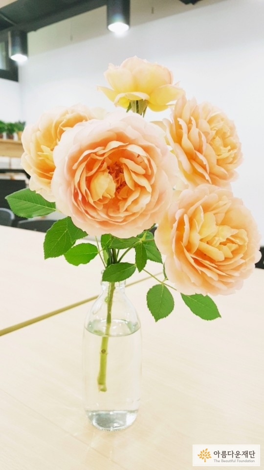 아름다운재단 행사에 사용한 장미