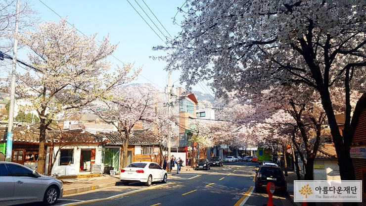 서촌 봄날