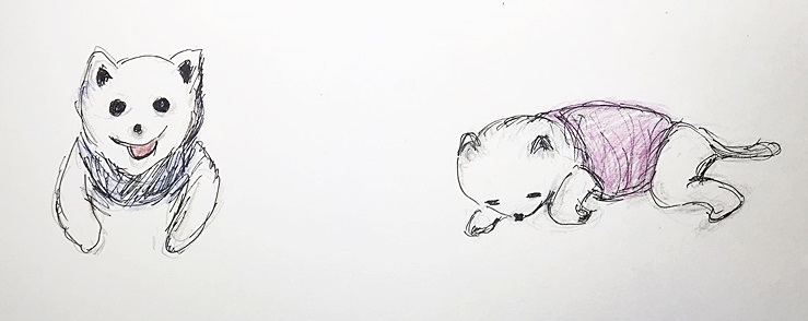 안진희 기부자님이 그림 강아지 봄이
