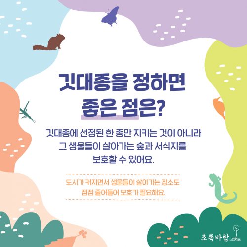 깃대종 서포터즈 카드뉴스. 깃대종을 정하면 좋은 점은? 깃대종에 선정 된 한 종만 지키는 것이 아니라 그 생물들이 살아가는 숲과 서식지를 보호 할 수 있어요. 라고 적혀있다.