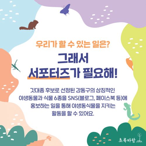 깃대종 서포터즈 카드뉴스. 그래서 서포터즈가 필요해! 깃대종 후보로 선정 된 강동구의 상징적인 야생동물과 식물 6종을 SNS에 홍보하는 일을 통해 야생동식물을 지키는 활동을 할 수 있어요. 라고 적혀있다.