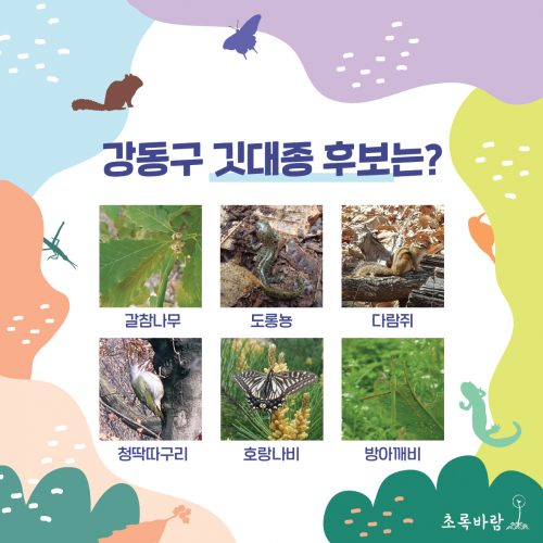 깃대종 서포터즈 카드뉴스. 강동구 깃대종 후보는? 을 제목으로 갈참나무, 도롱뇽, 다람쥐, 청딱다구리, 호랑나비, 방아깨비의 이름과 이미지가 적혀있다.