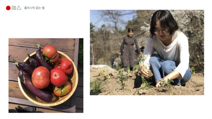 사진(왼) 직접 기르고 수확한 탐스러운 가지와 토마토가 나무그릇에 담겨있다 / 사진(오) 단발머리에 안경을 쓴 여성 참여자가 흰 티셔츠에 청바지를 입고 밭에 모종을 심고 있다
