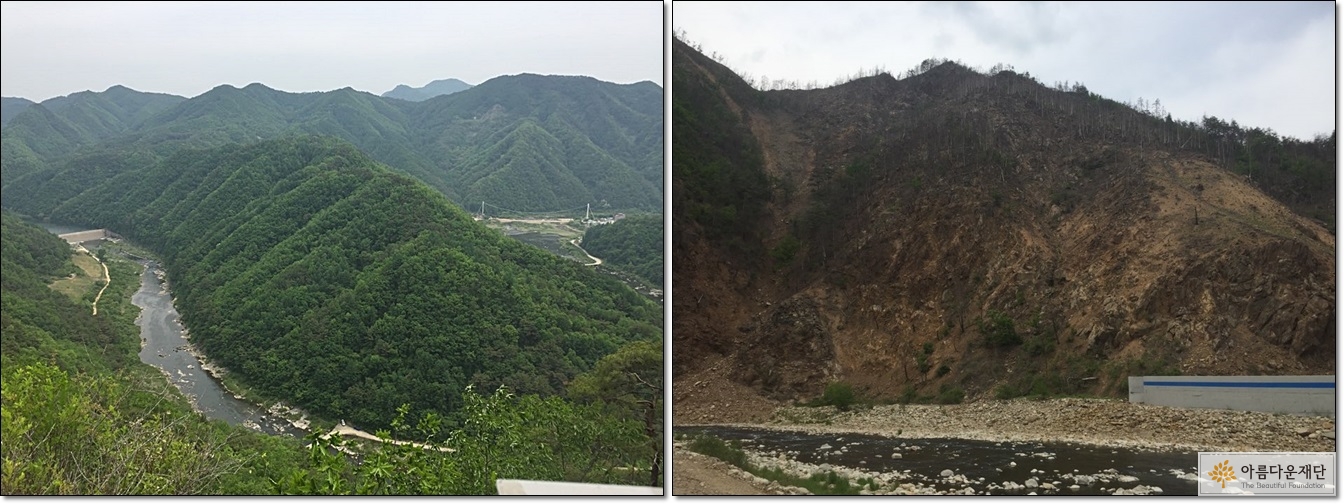 낙동강 하류의 산들(좌), 석포제련소 옆 산(우). 제련소 옆 둔덕뿐만 아니라, 공장 연기가 가는 방향의 산은 모두 황폐화 되어 있다