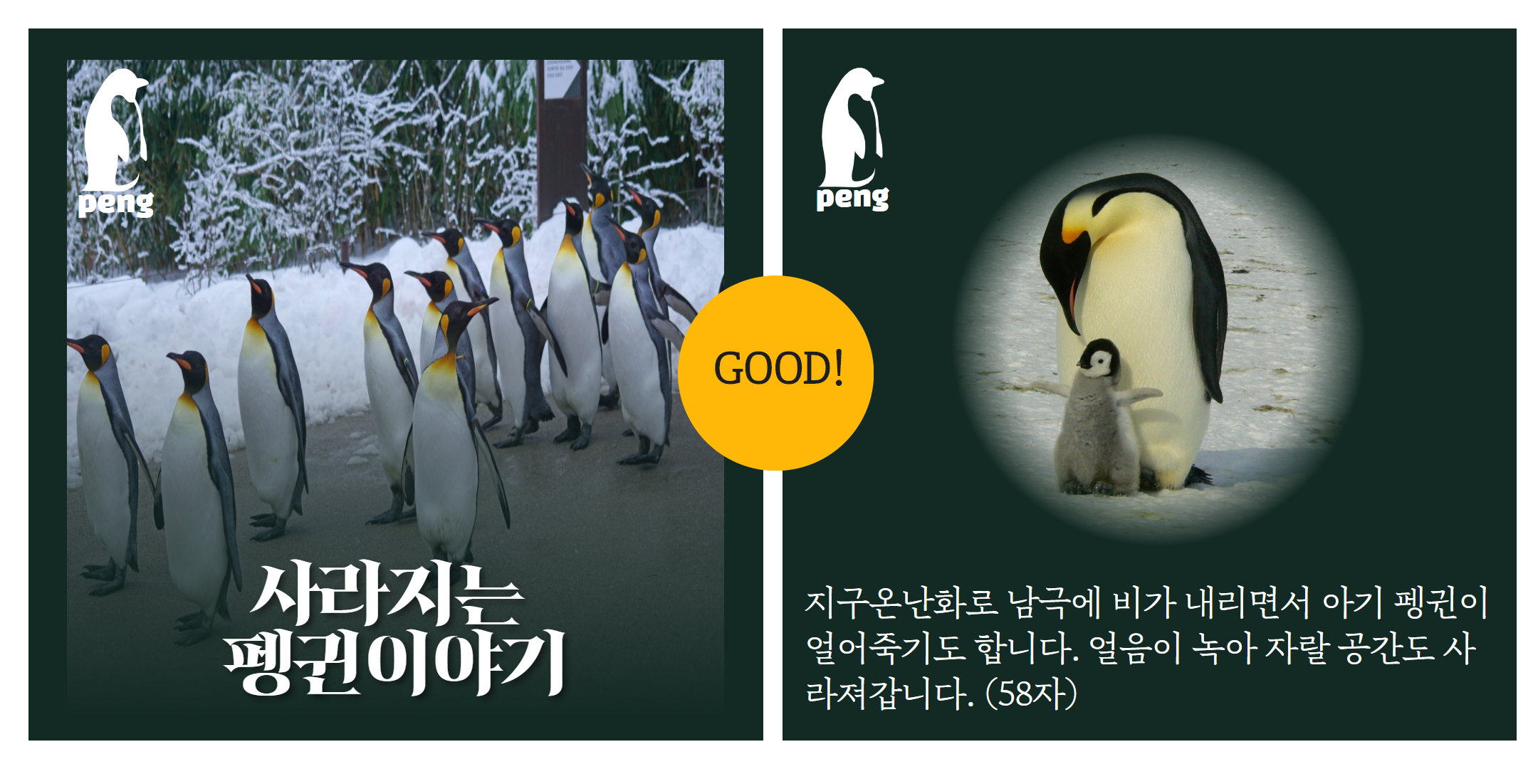 다섯가지 요소를 잘 갖춘 카드뉴스 예시