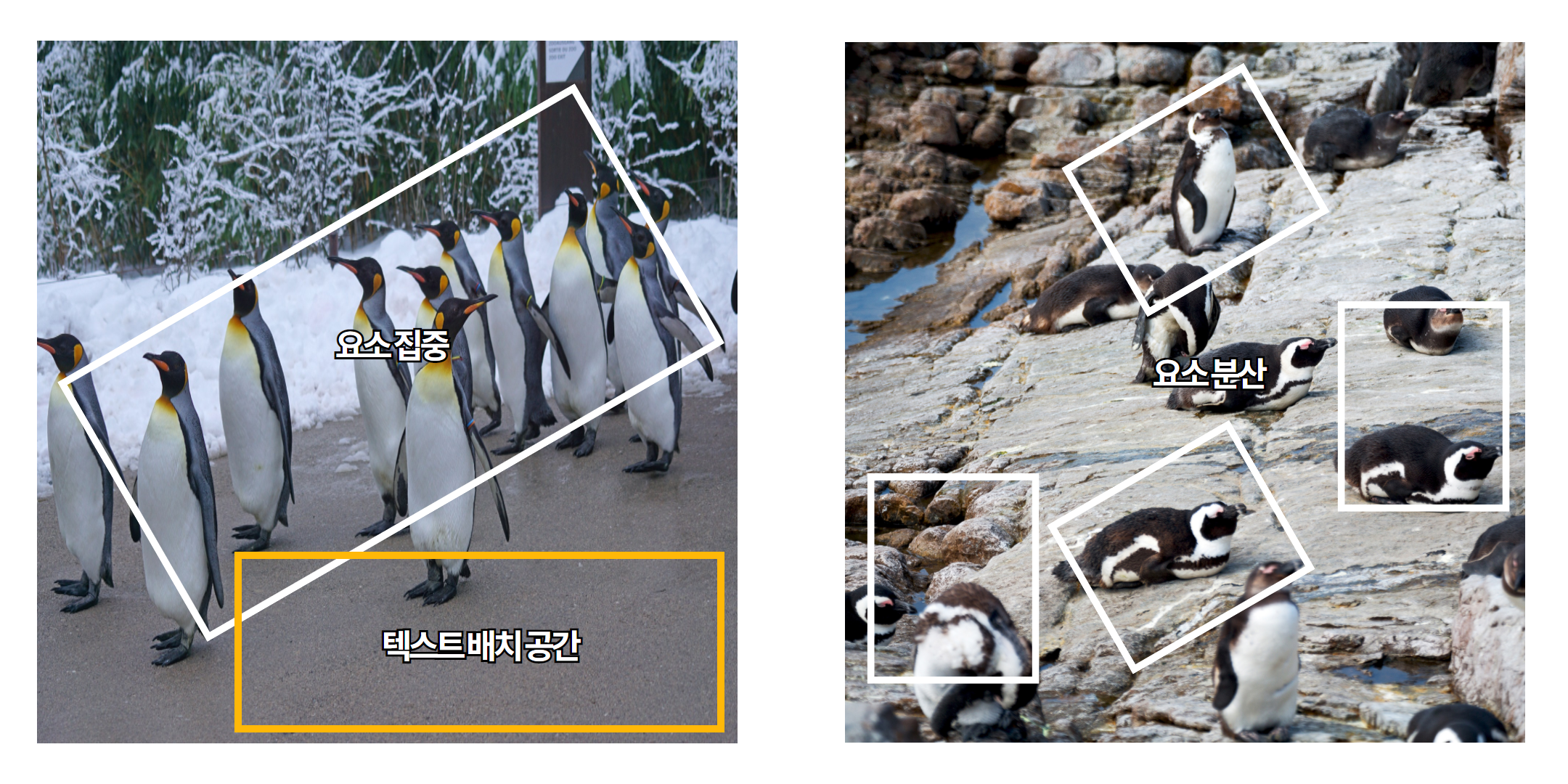 카드뉴스 이미지 고르기