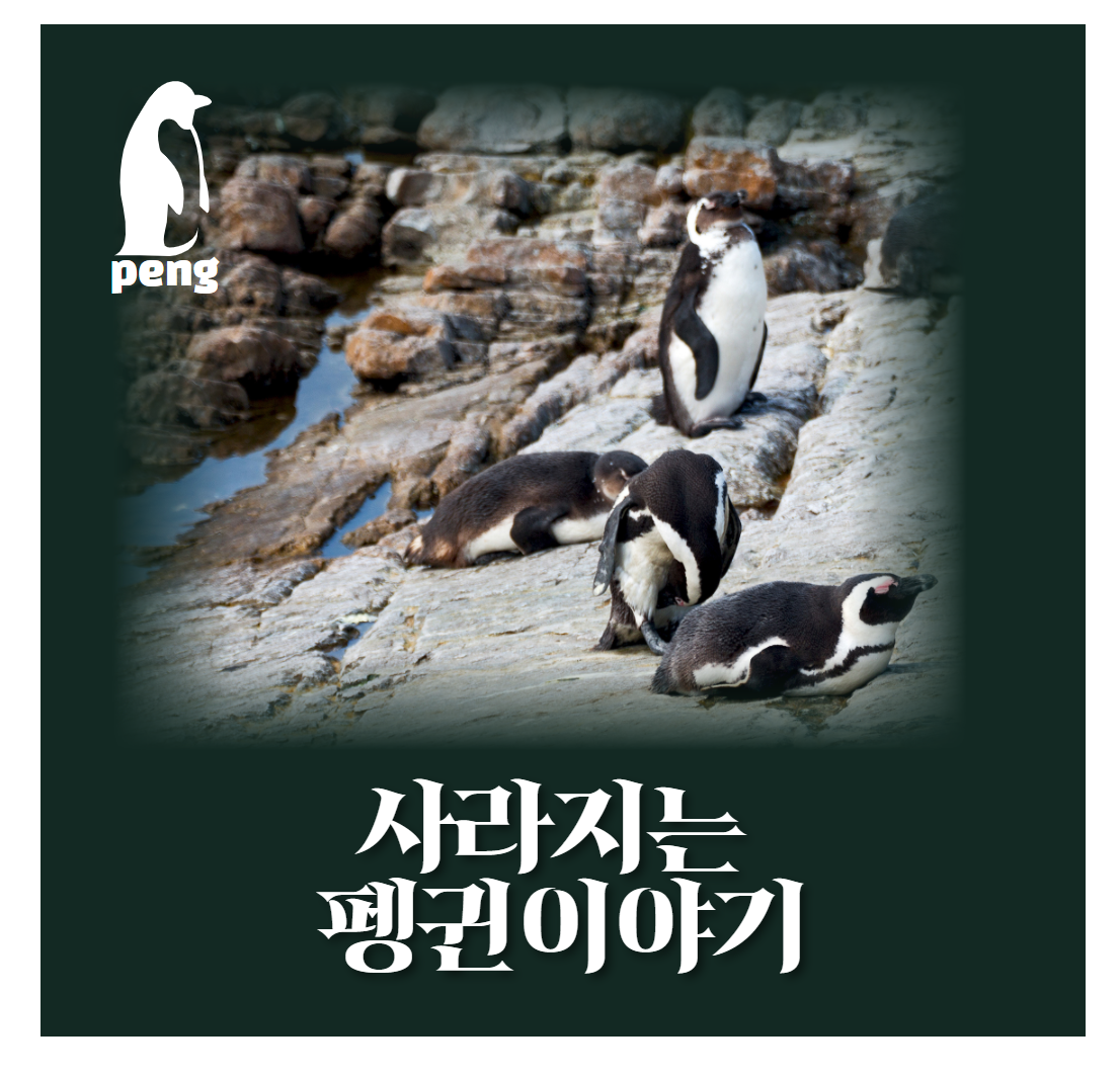 1번 사례, 잘못된 사진도 잘라서 쓰면 됩니다.