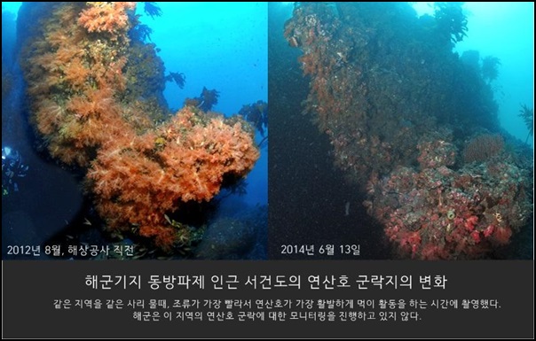 2014 변화의 시나리오 프로젝트 A 지원사업 - 연산호