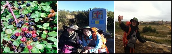 스페인어로 모라라는 열매/갈리시아지역으로 넘는 순간 앞에서 한장!
