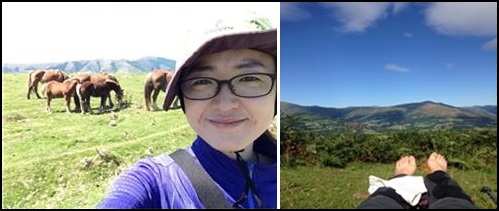 피레네 산맥에서 자주 볼 수 있는 말과 소, 양 /잠시 휴식