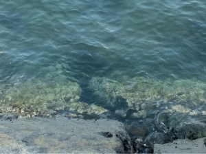 IMG_0525.jpg