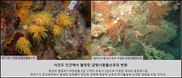 2014 변화의 시나리오 프로젝트 A 지원사업 - 연산호