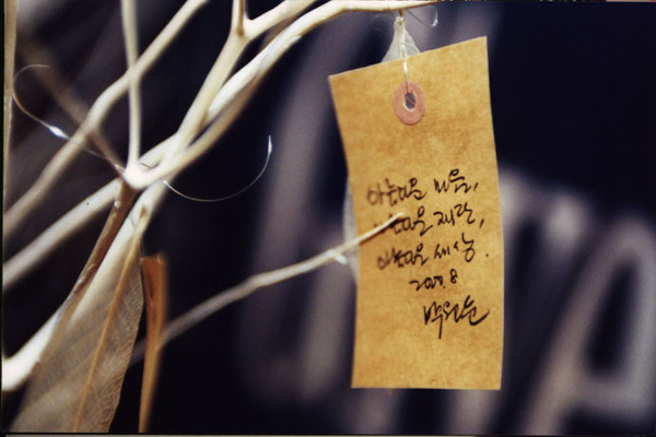 2000년 8월 아름다운재단 설립