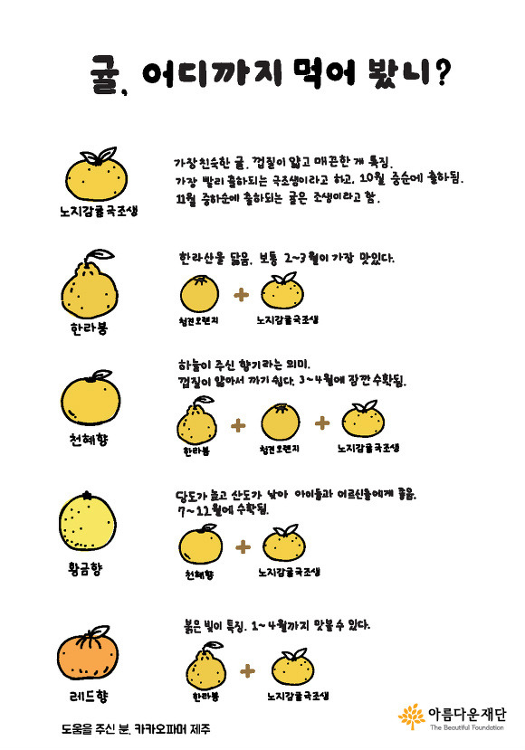 다양한 귤 설명. 노지감귤국조생, 한라봉, 천혜향, 황금향,레드향
