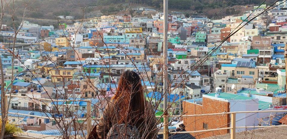 쉬는게 뭐더라, 쉬어보면 알겠지 <노현정 제공>
